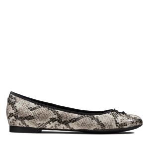 Balerinky Clarks Couture Bloom Damske Siva Had | CLK834YLH