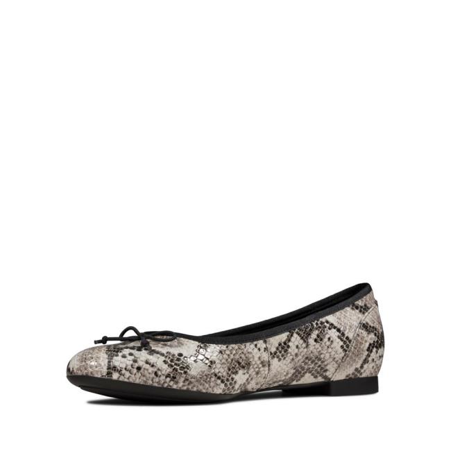 Balerinky Clarks Couture Bloom Damske Siva Had | CLK834YLH