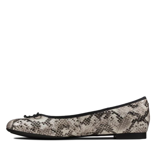 Balerinky Clarks Couture Bloom Damske Siva Had | CLK834YLH