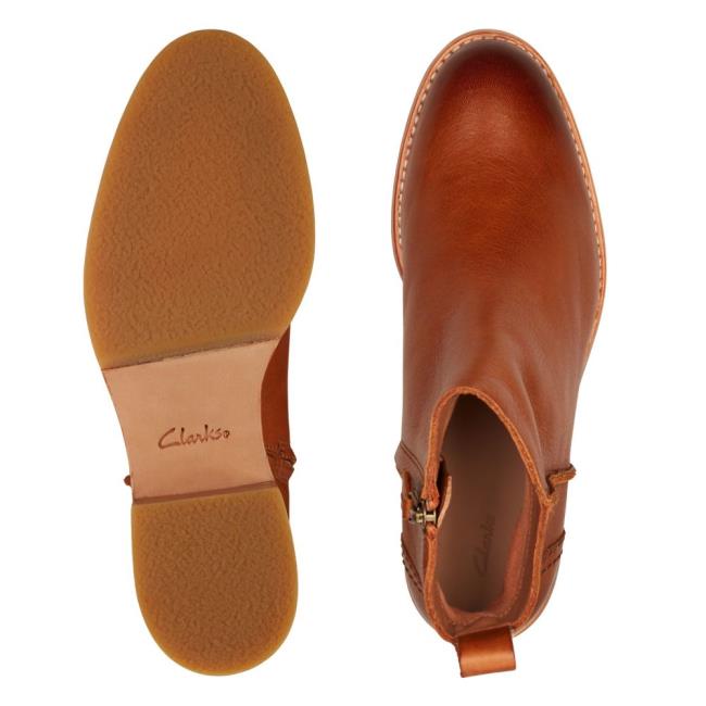 Kotníkové Čižmy Clarks Cologne Zip Damske Tmavo Hnede | CLK491ETD