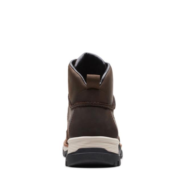 Originals Čižmy Clarks ToptonPine GTX Panske Tmavo Hnede | CLK571QAT