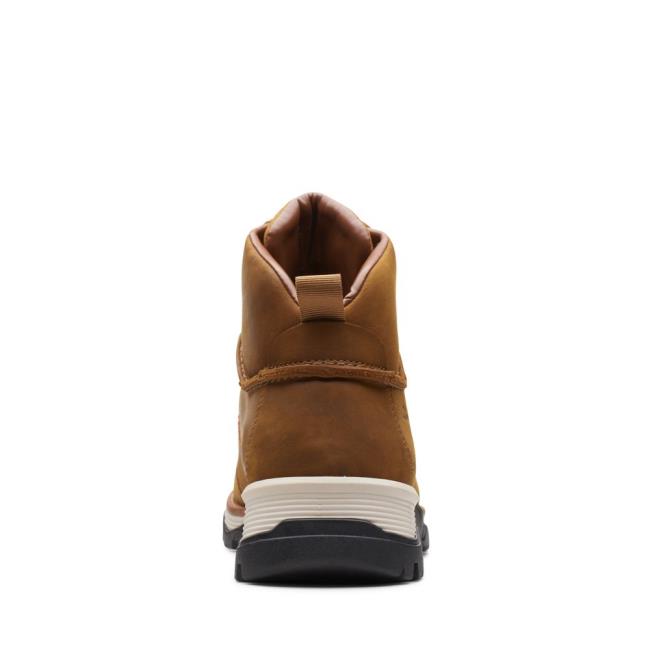 Originals Čižmy Clarks ToptonPine GTX Panske Hnede | CLK815FGU