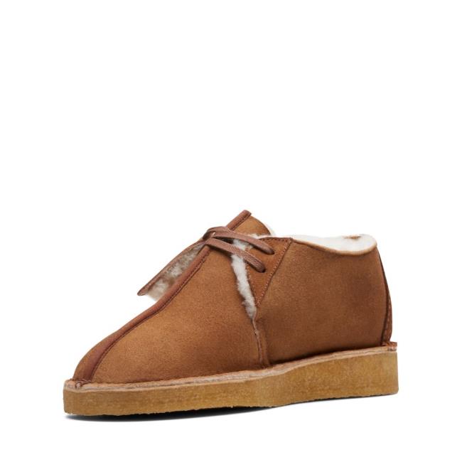 Ploché Topánky Clarks Desert Trek Damske Hnede | CLK094VKB