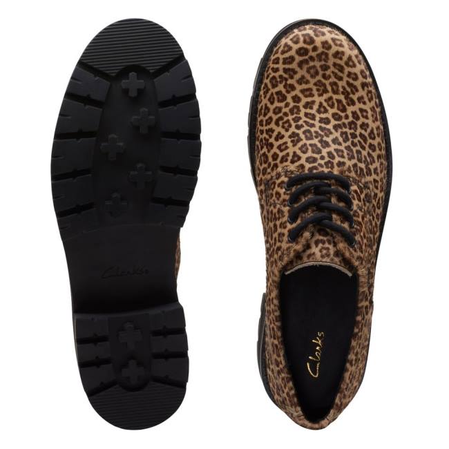 Ploché Topánky Clarks Orianna Derby Damske Leopardie | CLK753QSX