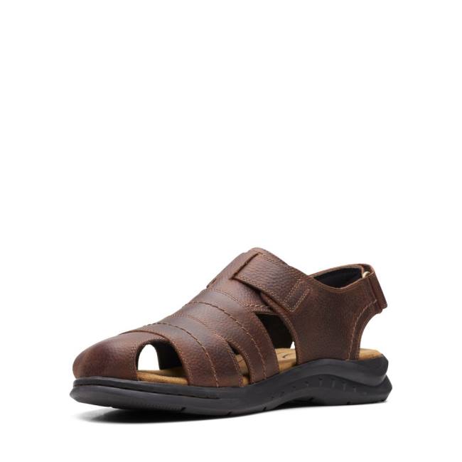 Sandále Clarks Hapsford Cove Panske Hnede | CLK837HAZ