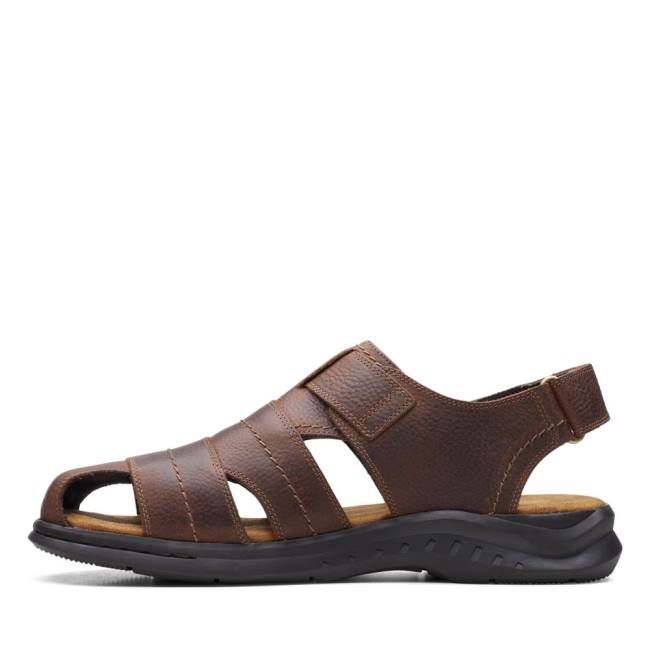 Sandále Clarks Hapsford Cove Panske Hnede | CLK837HAZ