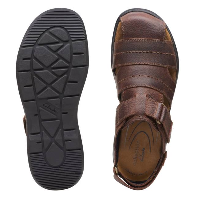 Sandále Clarks Hapsford Cove Panske Hnede | CLK837HAZ