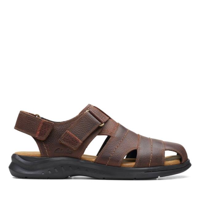 Sandále Clarks Hapsford Cove Panske Hnede | CLK837HAZ