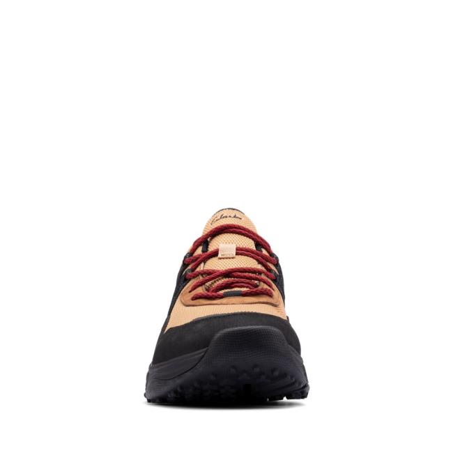 Tenisky Clarks Tri Path Trek GORE-TEX Panske Hnede | CLK986OWQ