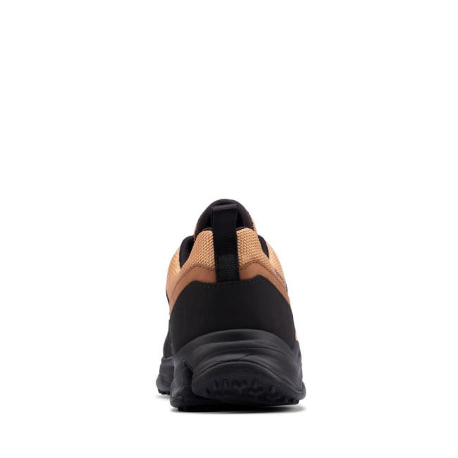 Tenisky Clarks Tri Path Trek GORE-TEX Panske Hnede | CLK986OWQ